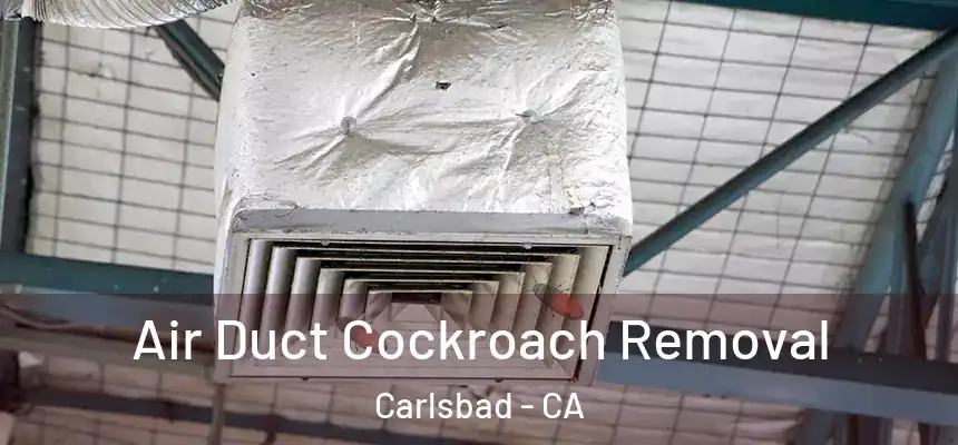 Air Duct Cockroach Removal Carlsbad - CA