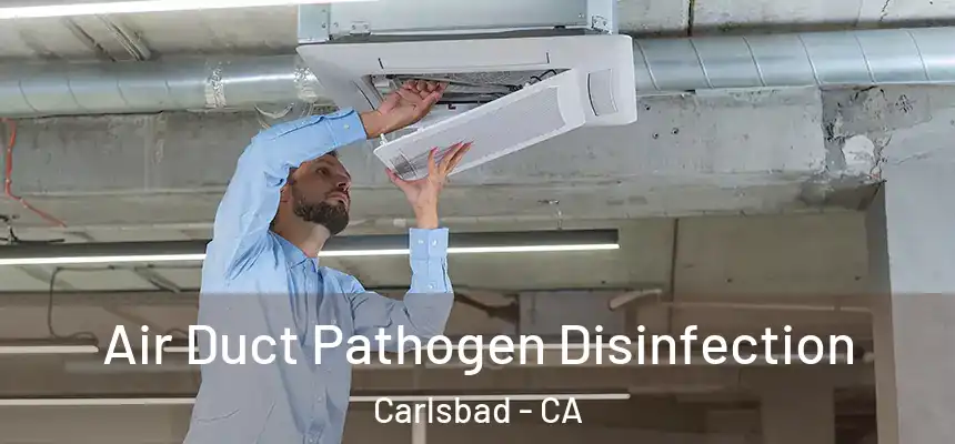  Air Duct Pathogen Disinfection Carlsbad - CA