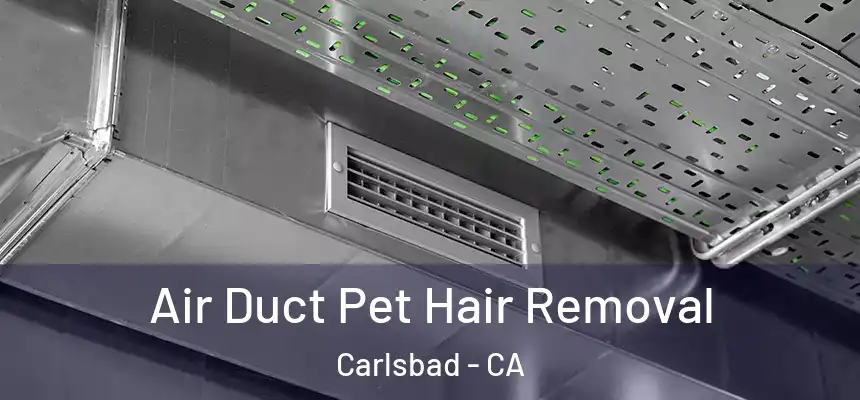  Air Duct Pet Hair Removal Carlsbad - CA