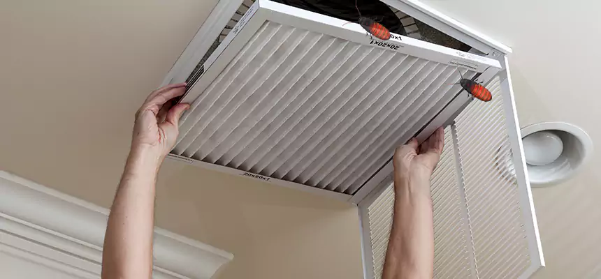Preventive Cockroach-Proofing for Ducts in Carlsbad