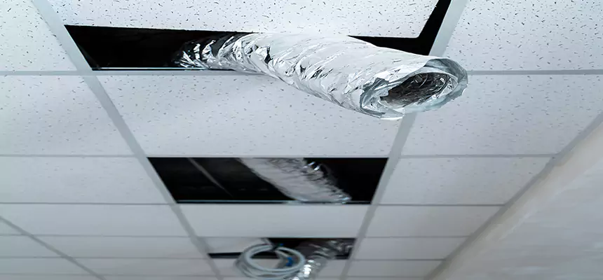 Our Air Duct Pet Hair Removal Services in Carlsbad, CA