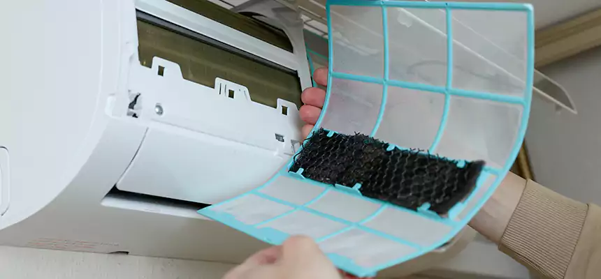 Gentle Ductwork Odor-Control Pet Dander Duct Cleaning in Carlsbad, CA