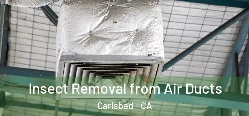  Insect Removal from Air Ducts Carlsbad - CA