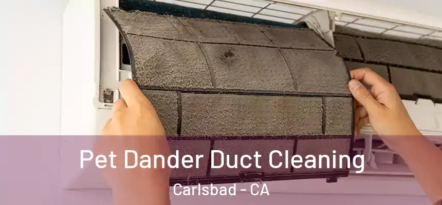  Pet Dander Duct Cleaning Carlsbad - CA