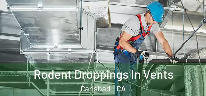 Rodent Droppings In Vents Carlsbad - CA