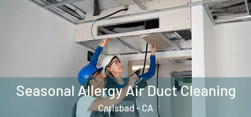  Seasonal Allergy Air Duct Cleaning Carlsbad - CA