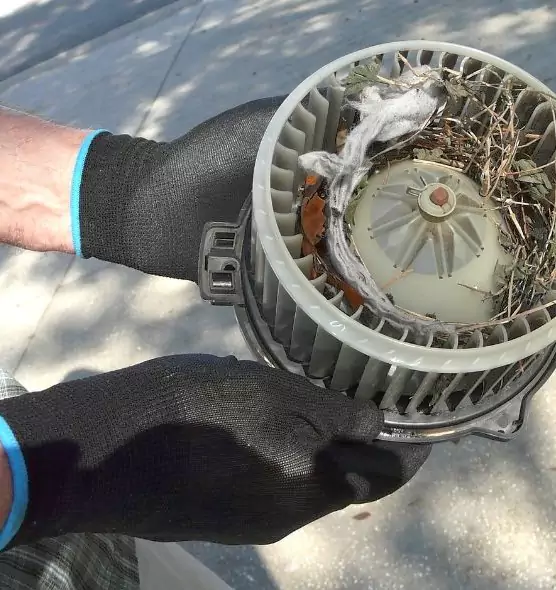 About Air Duct Mice Removal in Carlsbad, CA