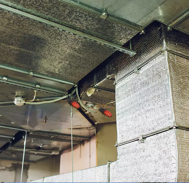 Why Homeowners & Businesses Trust Us in Carlsbad, CA?