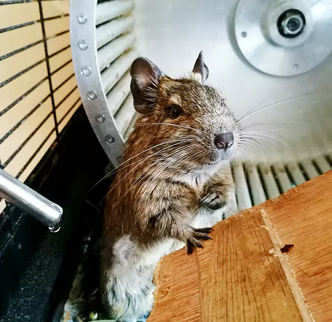 Why Homeowners & Businesses Trust Us Carlsbad, CA?