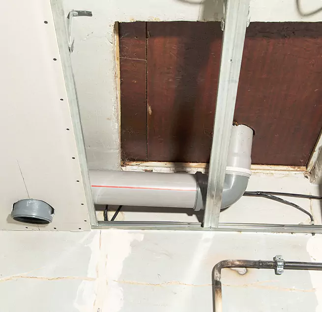 Why Homeowners & Businesses Trust Us in Carlsbad, CA?