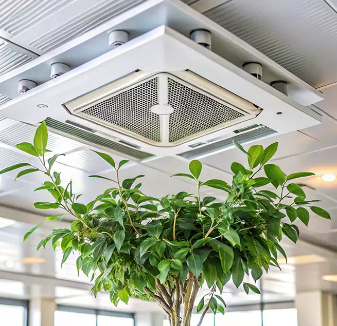 Why Homeowners & Businesses Trust Us in Carlsbad, CA?