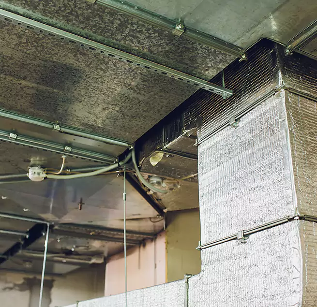 Why Homeowners & Businesses Trust Us in Carlsbad, CA?